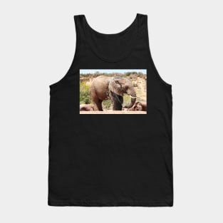 African Wildlife Photography Elephant Splashing Tank Top